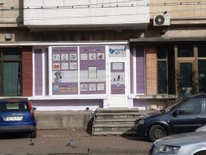 20191102_1215531-1024x768