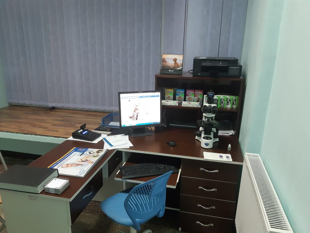 20200110_171737-1024x768