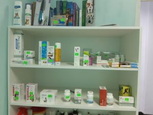 20200110_171947-1024x768