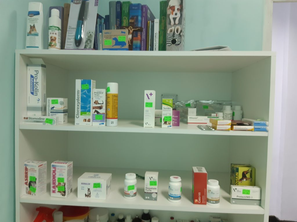 20200110_171947-1024x768