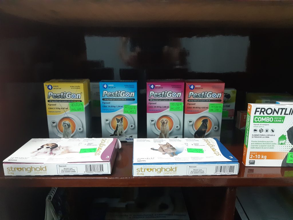 20200110_172051-1024x768