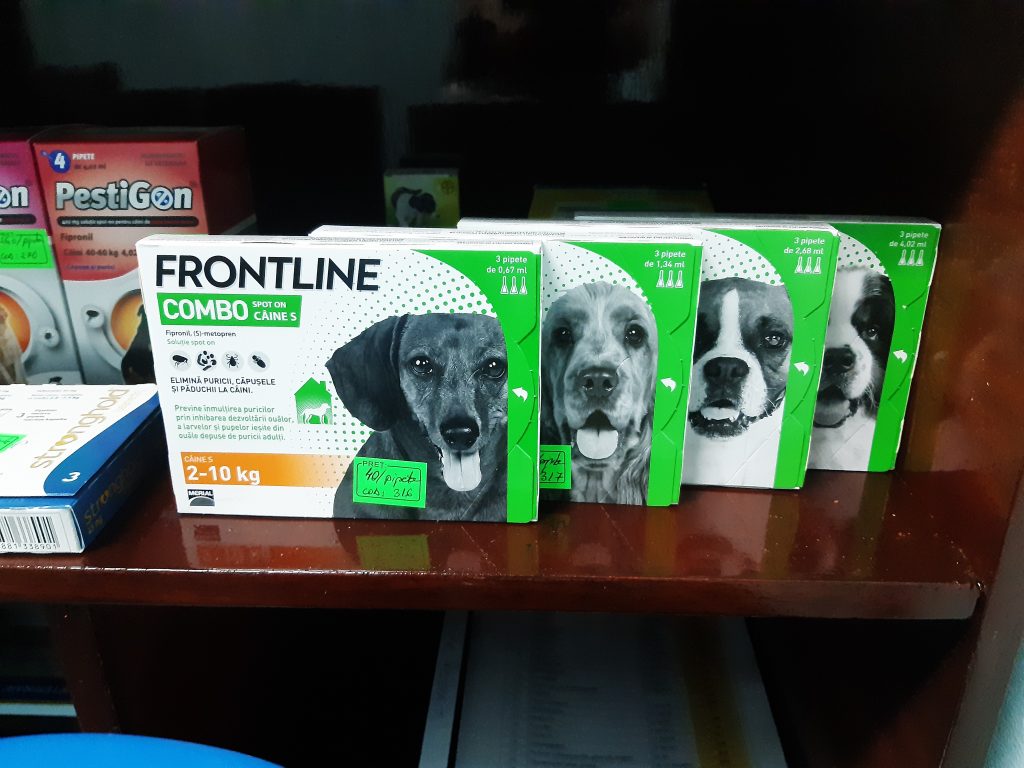 20200110_172104-1024x768